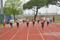 Jesolo1-0248.jpg